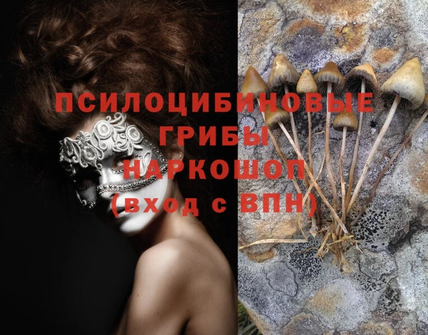 MESCALINE Кинешма