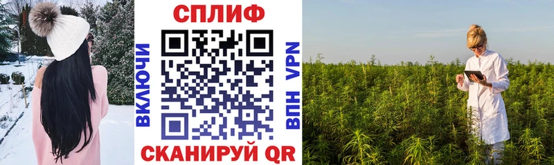 Бошки Шишки THC 21%  даркнет наркотические препараты  Лодейное Поле 